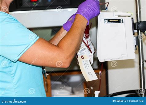 Infusion Nurse Adjusting Blood Transfusion Stock Image Image Of Drugs