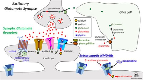 cns_neurotransmitters [TUSOM | Pharmwiki]