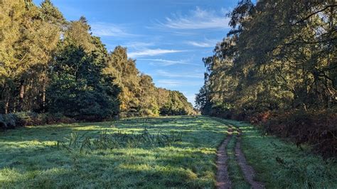 Donkey Pond Hill At Sandringham Sandy Gerrard Cc By Sa 2 0