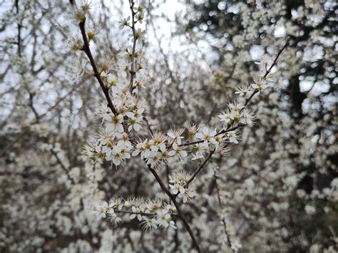 Clarendon Park Epsom added a new photo. - Clarendon Park Epsom