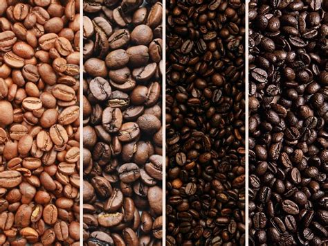 Ultimate Guide To Coffee Bean Roasts Which One Is Best