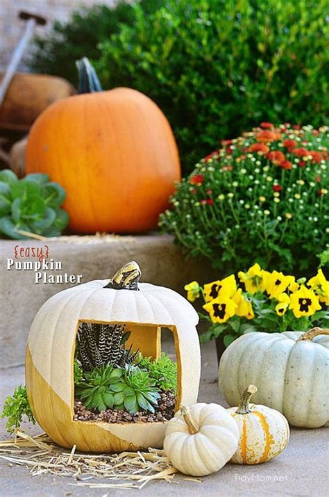 Diy Pumpkin Planter Ideas For Fall Decorations Balcony Garden Web