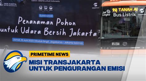 Transjakarta Inisiasi Gerakan Menanam Mangrove Youtube