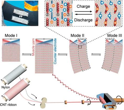 Knittable Electrochemical Yarn Muscle For Morphing Textiles Acs Nano