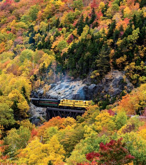 New England Fall Foliage Train Tours 2024 Packages - Edita Gwenora