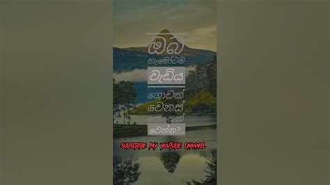 හොද කෙනෙක් වෙන්න හැමෝටම වැඩිය 🙂 එත් කාටවත් එක ඔප්පු කරන්න යන්න එපා😥💟