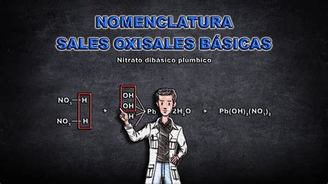 Nomenclatura Sales Oxisales B Sicas Youtube