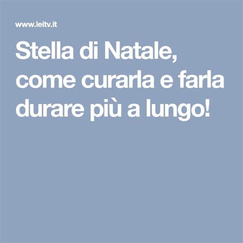 Stella Di Natale Come Curarla E Farla Durare Pi A Lungo