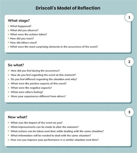 Diligent Elaboration Of Driscoll Model Of Reflection