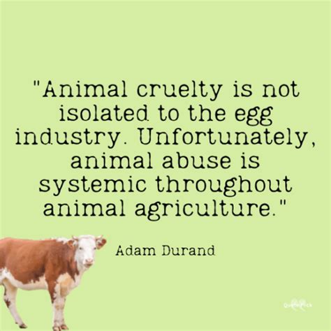 60 Powerful Animal Abuse Quotes To Help Stop Cruelty