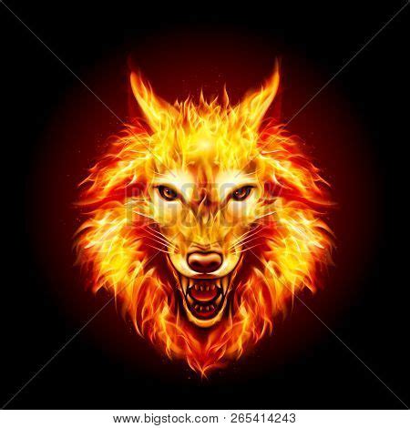 Head Aggressive Fire Vector & Photo (Free Trial) | Bigstock