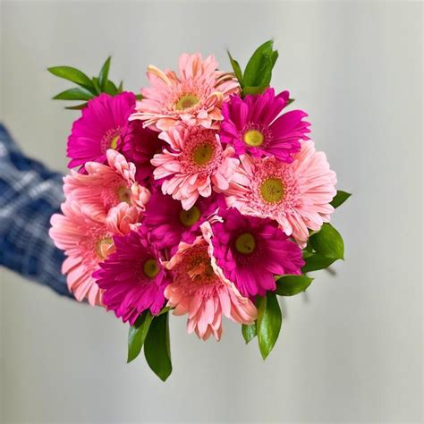 Flower Guy's Fuchsia Fantasy: Cheap Flowers, Priceless Moments