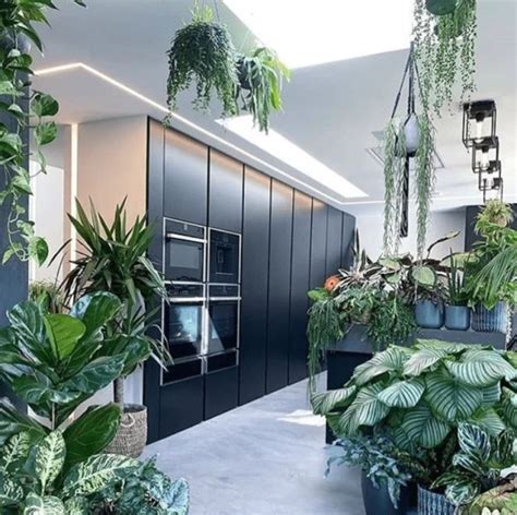 Homelysmart 15 Planter Placement Ideas To Bring The Zen To Your