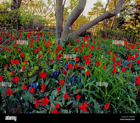 spring   garden stock photo alamy