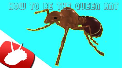 Roblox Ant Simulator How To Be The Queen Ant YouTube