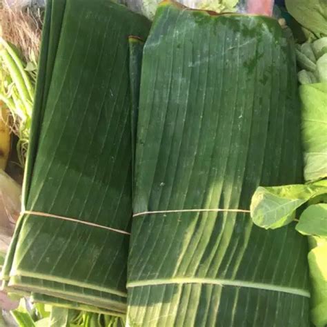 Jual Daun Pisang Segar 1kg Shopee Indonesia