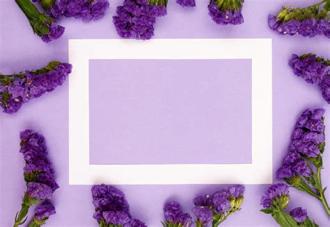 Purple Border Photos, Download The BEST Free Purple Border Stock Photos & HD Images