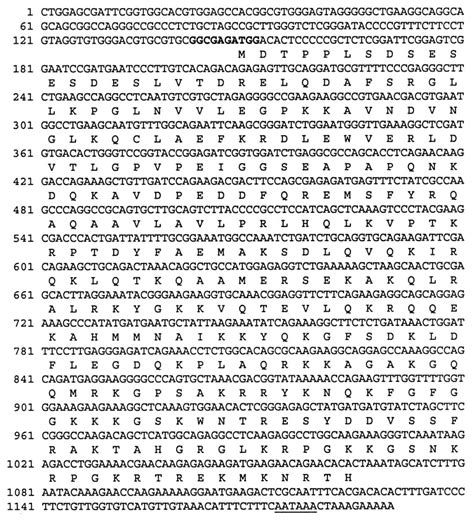 Ebp2 A Human Protein That Interacts With Sequences Of The Epstein Barr Virus Nuclear Antigen 1