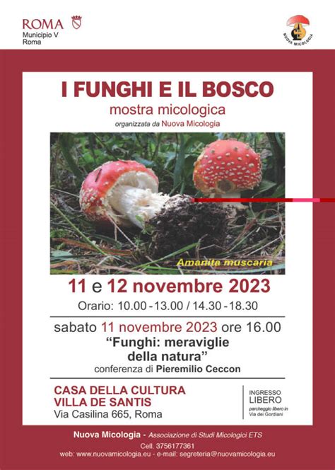 Mostra Micologica I Funghi E Il Bosco A Roma