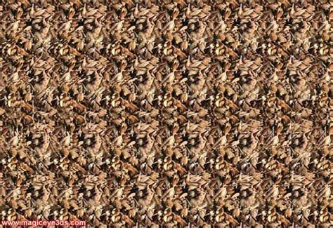 Magic Eye 3d Picture Here Is Some Cool 3d Stereogram Pictures Magic Eyes Eye Illusions 3d