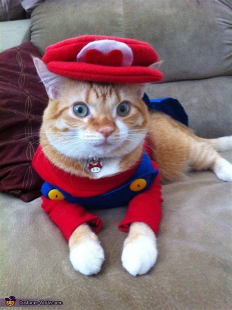 Super Mario Cat Pictures Photos And Images For Facebook Tumblr