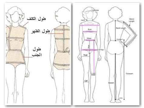 طريقة أخذ مقاسات الجسم بمتر القياس للمبتدئات والمقاسات التقريبية لكل مقاس