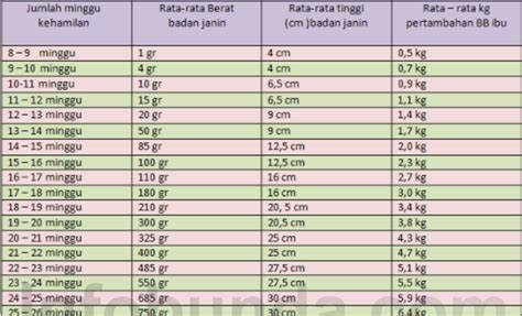 love healthy 4ever: TABEL PERKEMBANGAN JANIN & IBU HAMIL