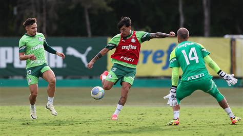 Allianz Parque terá capacidade reduzida para Palmeiras x Flamengo veja