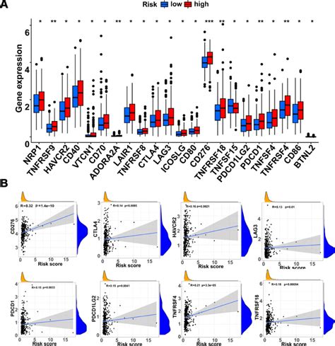 Relationship Between Immune Checkpoint Genes And The Gene Signature