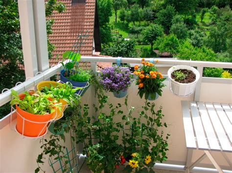 Balkonpflanzen Balkon Gestalten Urban Gardening