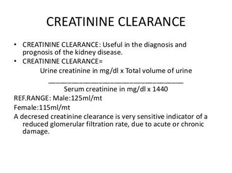 Understand GFR Blood Test and Normal GFR Levels Range – Blood Test Results Explained