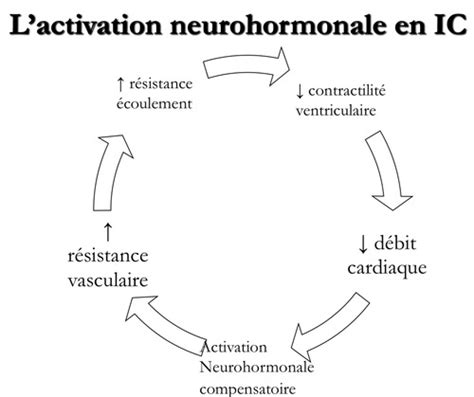 Insuffisance Cardiaque Cartes Quizlet