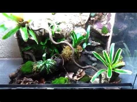 Dart Frog Paludarium Rainforest Setup Waterfall Dart Frog Waterfall