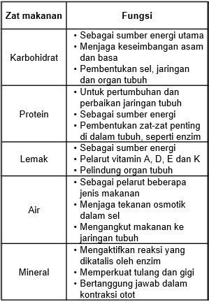 Sebutkan Masing Masing Tiga Fungsi Dari Zat Makana