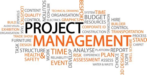 Project Management Consulting