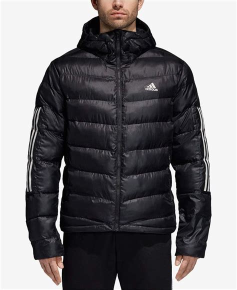 Adidas Men S Insulated Hooded Puffer Jacket Macy S Mens Jackets Fall Jackets Adidas Men