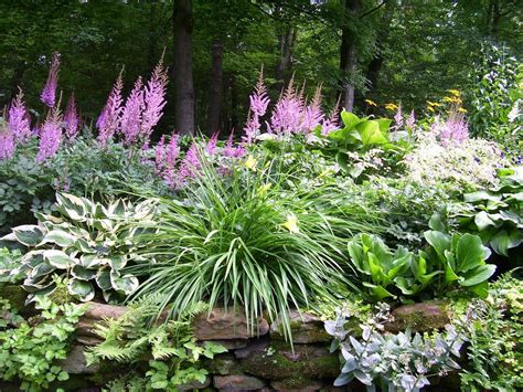 19 Astilbe Hosta Garden Ideas To Try This Year SharonSable