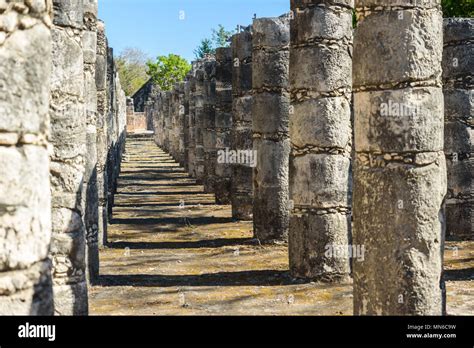 Las Ruinas De Chich N Itz Las Columnas En El Templo De Las Mil