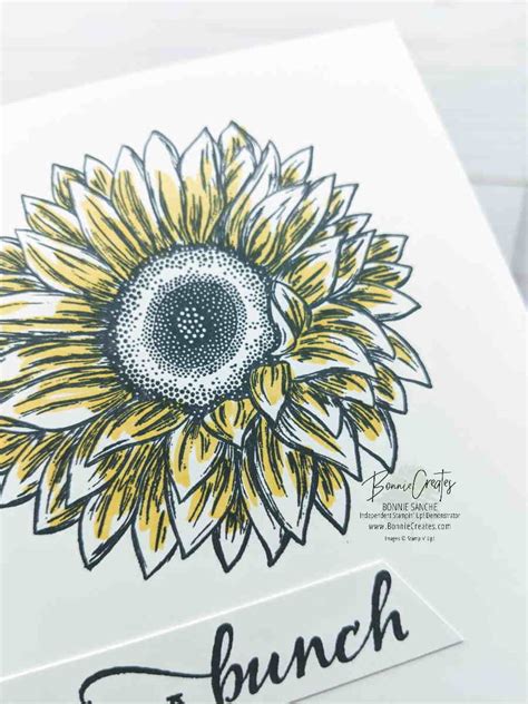 Celebrate Sunflowers Simplestamping Bonnie Sanche Stampin Up