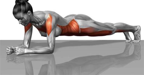 Plancha Abdominal MIGUELWORKFIT