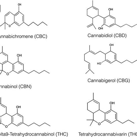 Structure And Key Facts Regarding Bcp Bcp Is A Volatile Terpene That