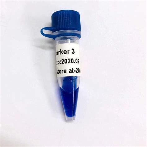 R Actif Gel D Agarose Ld Guangzhou Dongsheng Biotech Co Ltd