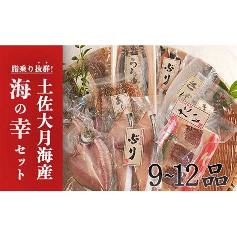 ふるさと納税 高知県 大月町 土佐大月海産 海の幸セット 9〜12品 5105495ふるさとチョイス 通販 Yahooショッピング