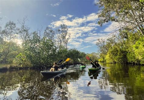 Noosa Southern Everglades Stingrays Self Guided Kayak Tour