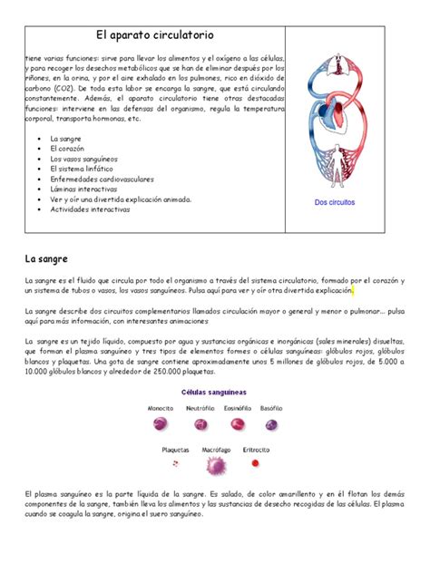 Material Para Mapa Conceptual De La Circulacion Pdf Sangre