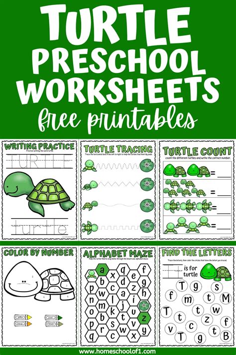 Turtle Worksheets For Preschool Free Printables Homeschool Of 1