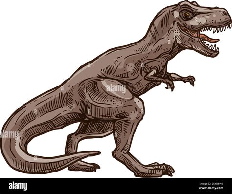 Dinosaur T Rex Vector Illustration Of A Large Prehistoric