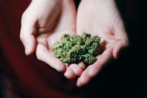 The Legality of Synthetic Cannabis | Los Angeles Criminal Defense Blog