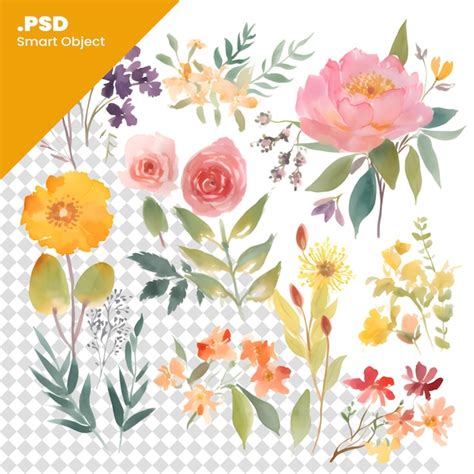 Ensemble De Fleurs Aquarelles Dessin Es La Main Mod Le Psd D