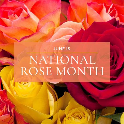 June Is National Rose Month Rose June Flower Birth Flowers